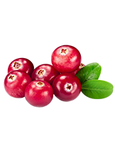 Żurawina
